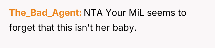 The_Bad_Agent NTA Your MiL seems to forget that this isn't...