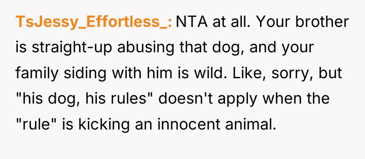 TsJessy_Effortless_ NTA at all. Your brother is straight-up abusing that...