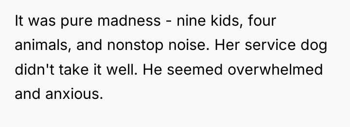 It was pure madness - nine kids, four animals, and...