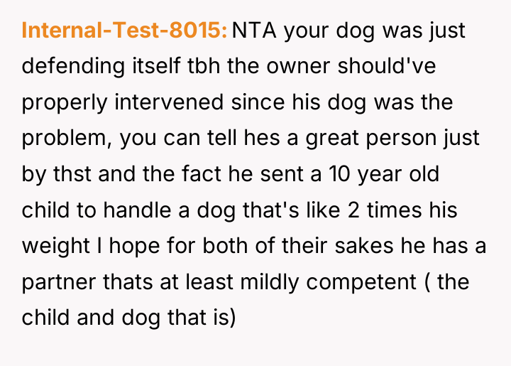 Internal-Test-8015 NTA your dog was just defending itself tbh the...