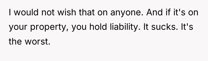 I would not wish that on anyone. And if it's...