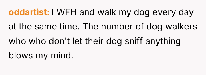oddartist I WFH and walk my dog every day at...