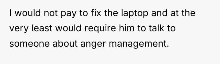 I would not pay to fix the laptop and at...