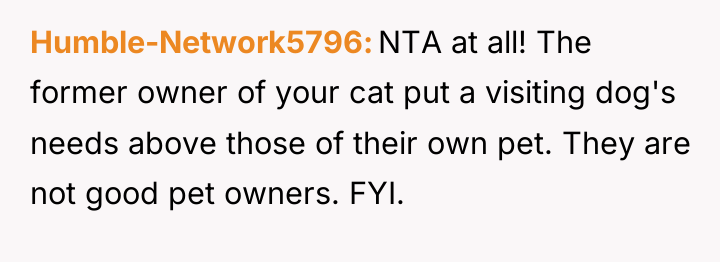 Humble-Network5796 NTA at all! The former owner of your cat...