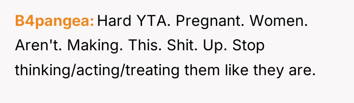 B4pangea Hard YTA. Pregnant. Women. Aren't. Making. This. Shit. Up....