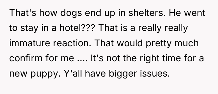 That's how dogs end up in shelters. He went to...