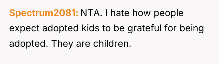 Spectrum2081 NTA. I hate how people expect adopted kids to...
