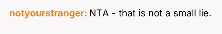 notyourstranger NTA - that is not a small lie.