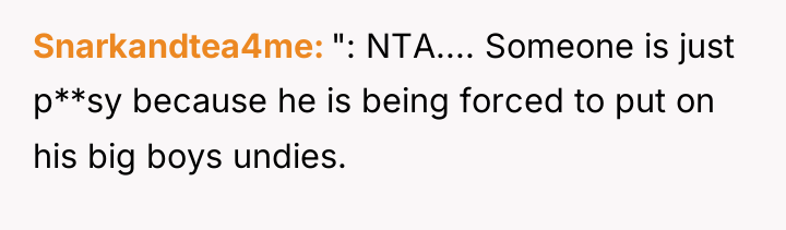 Snarkandtea4me ": NTA.... Someone is just p**sy because he is...