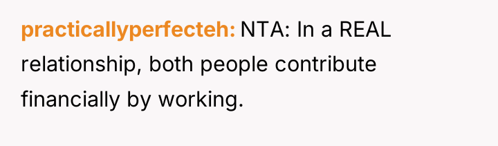 practicallyperfecteh NTA: In a REAL relationship, both people contribute financially...