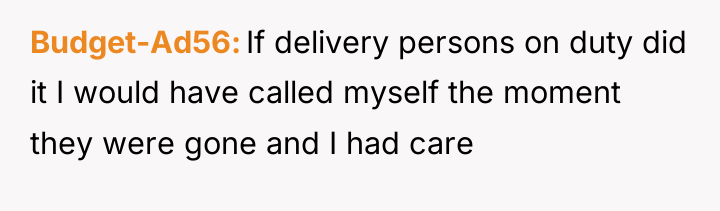 Budget-Ad56 If delivery persons on duty did it I would...