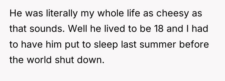 He was literally my whole life as cheesy as that...