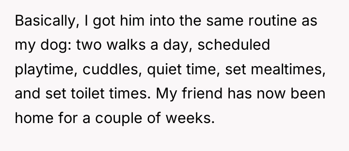 Basically, I got him into the same routine as my...