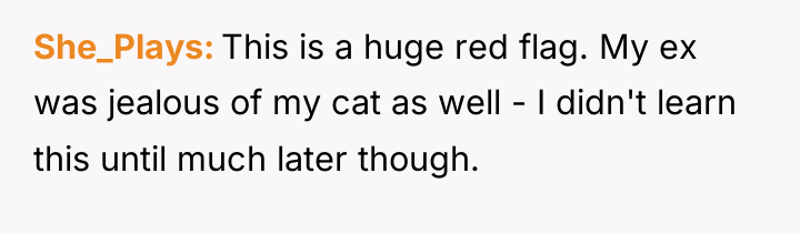 She_Plays This is a huge red flag. My ex was...