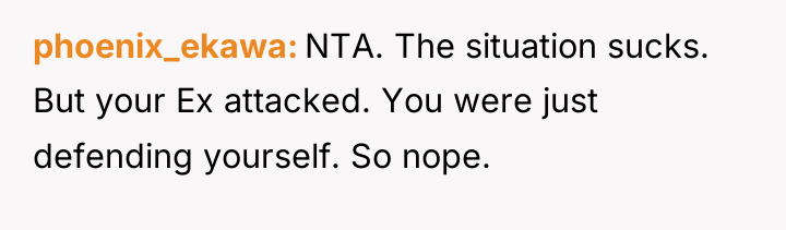 phoenix_ekawa NTA. The situation sucks. But your Ex attacked. You...