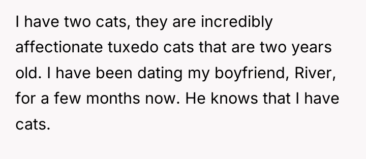 I have two cats, they are incredibly affectionate tuxedo cats...
