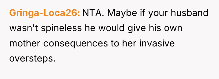 Gringa-Loca26 NTA. Maybe if your husband wasn't spineless he would...