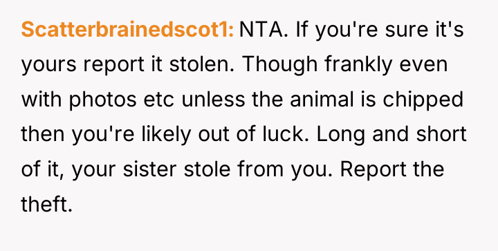 Scatterbrainedscot1 NTA. If you're sure it's yours report it stolen....