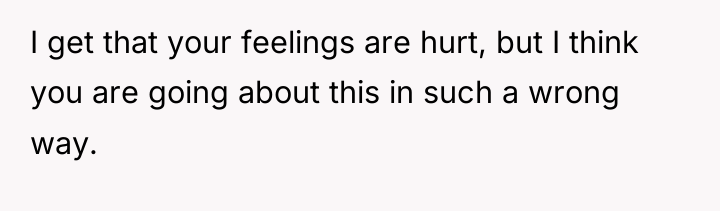 I get that your feelings are hurt, but I think...