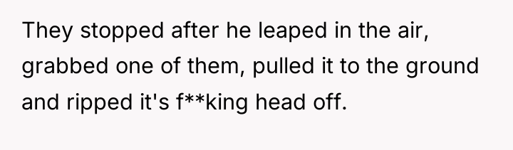 They stopped after he leaped in the air, grabbed one...