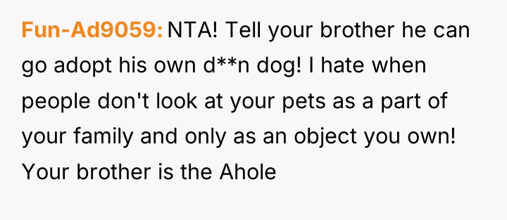 Fun-Ad9059 NTA! Tell your brother he can go adopt his...