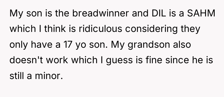 My son is the breadwinner and DIL is a SAHM...