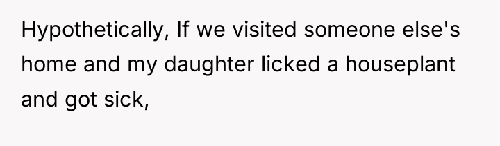 Hypothetically, If we visited someone else's home and my daughter...