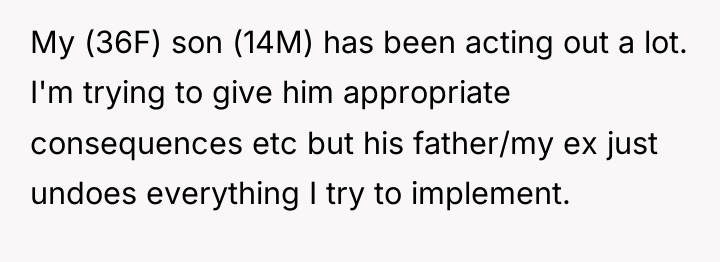 My (36F) son (14M) has been acting out a lot....