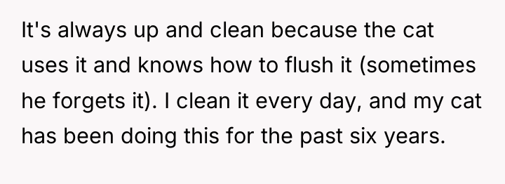 It's always up and clean because the cat uses it...