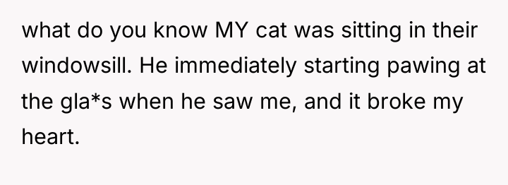 what do you know MY cat was sitting in their...