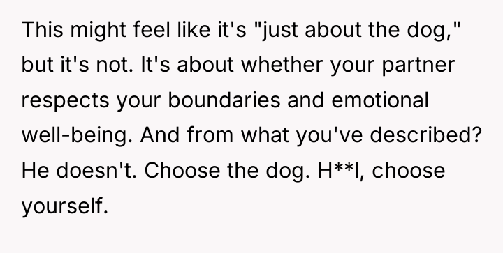 This might feel like it's "just about the dog," but...