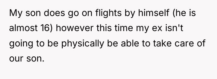 My son does go on flights by himself (he is...