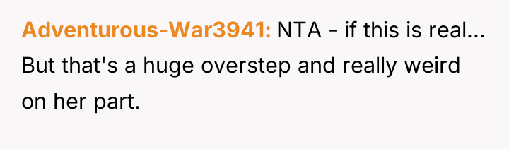 Adventurous-War3941 NTA - if this is real... But that's a...
