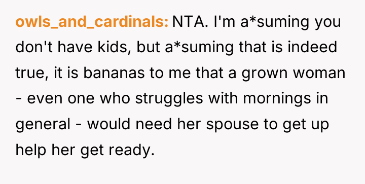 owls_and_cardinals NTA. I'm a*suming you don't have kids, but a*suming...