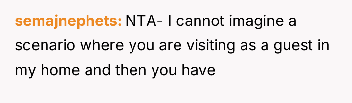 semajnephets NTA- I cannot imagine a scenario where you are...