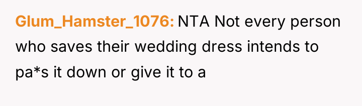 Glum_Hamster_1076 NTA Not every person who saves their wedding dress...