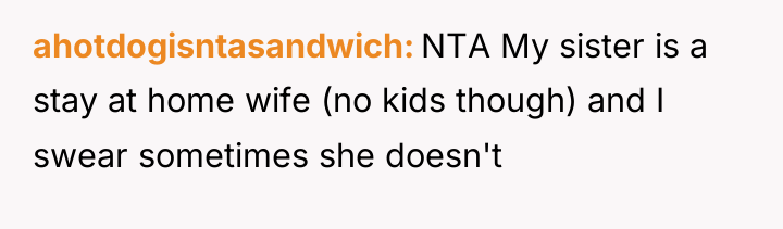 ahotdogisntasandwich NTA My sister is a stay at home wife...