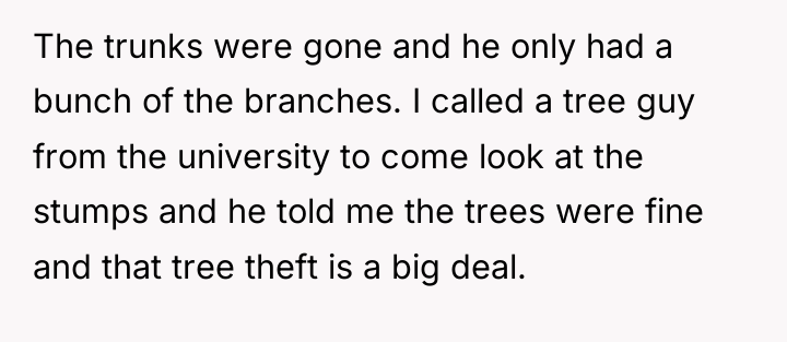 The trunks were gone and he only had a bunch...