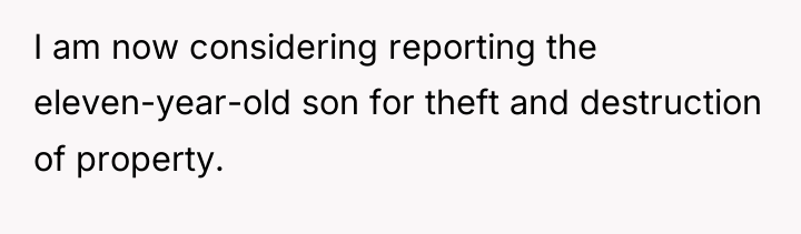 I am now considering reporting the eleven-year-old son for theft...