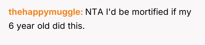 thehappymuggle NTA I'd be mortified if my 6 year old...
