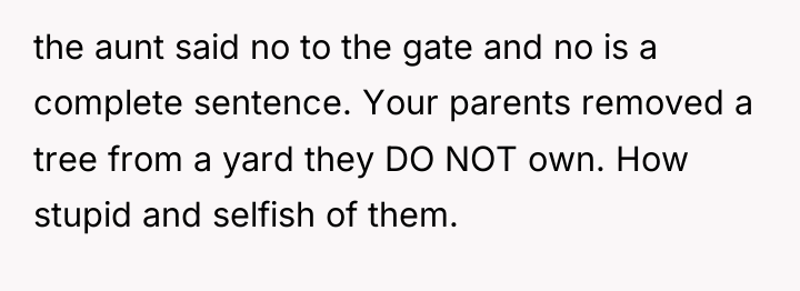 the aunt said no to the gate and no is...