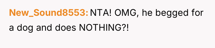 New_Sound8553 NTA! OMG, he begged for a dog and does...