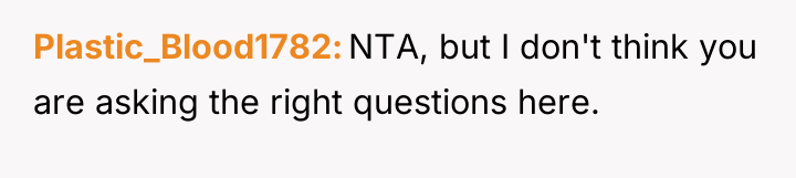 Plastic_Blood1782 NTA, but I don't think you are asking the...