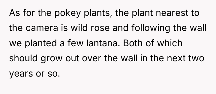 As for the pokey plants, the plant nearest to the...