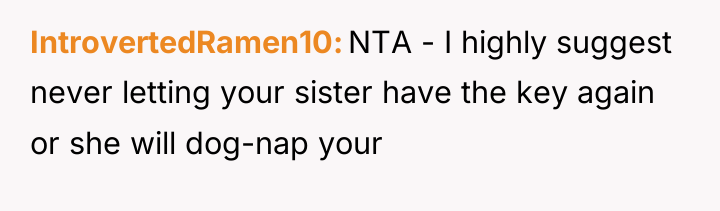 IntrovertedRamen10 NTA - I highly suggest never letting your sister...