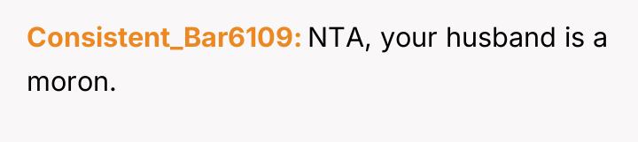 Consistent_Bar6109 NTA, your husband is a moron.