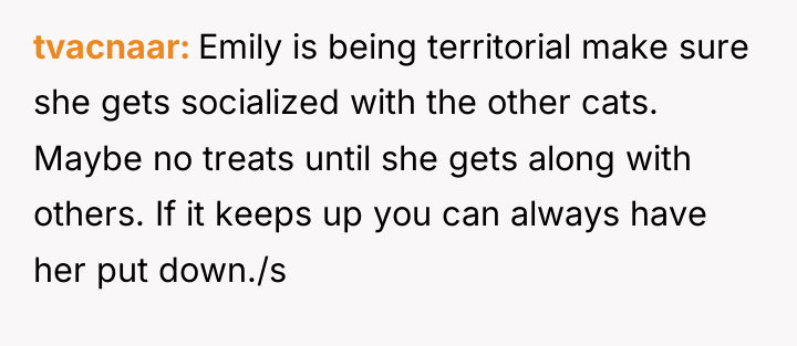 tvacnaar Emily is being territorial make sure she gets socialized...