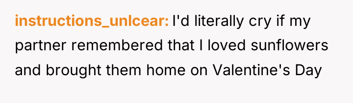 instructions_unlcear I'd literally cry if my partner remembered that I...