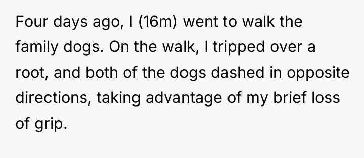 Four days ago, I (16m) went to walk the family...