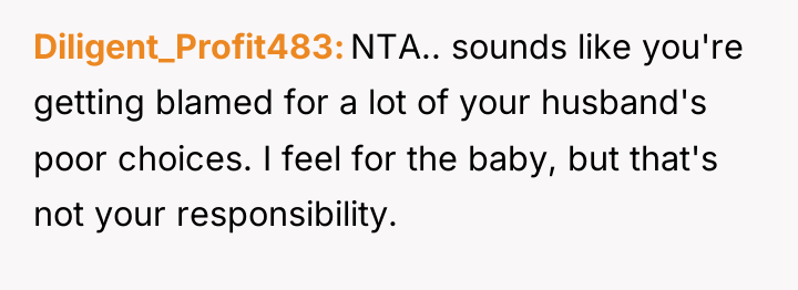 Diligent_Profit483 NTA.. sounds like you're getting blamed for a lot...
